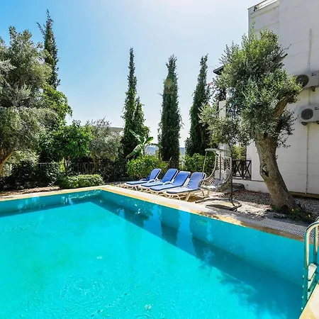 Вилла Leo Bodrum *