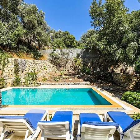Вилла Leo Bodrum *