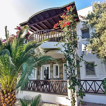 Вилла Leo Bodrum *