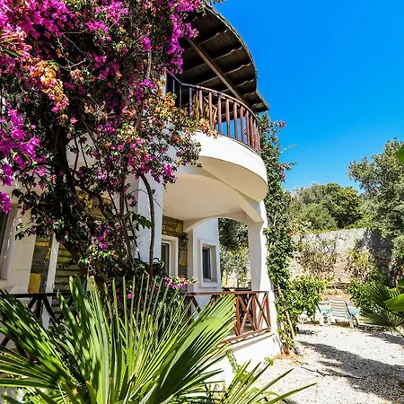 Villa Leo Bodrum Yalıkavak